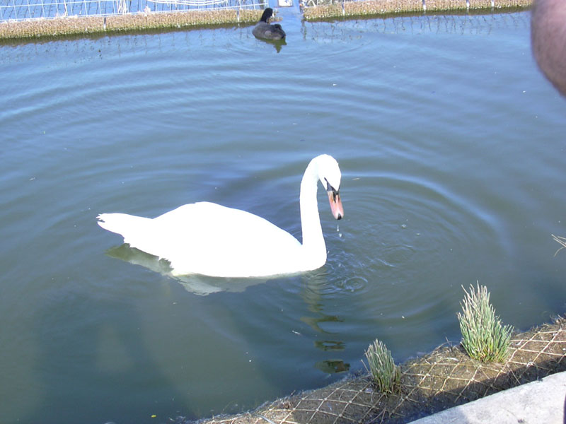 DSCN0307