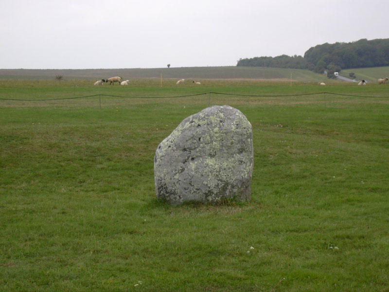 DSCN0360