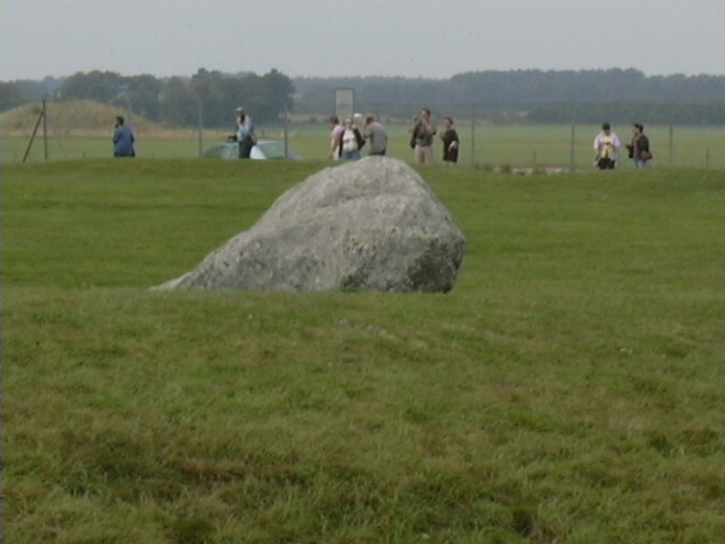 DSCN0371