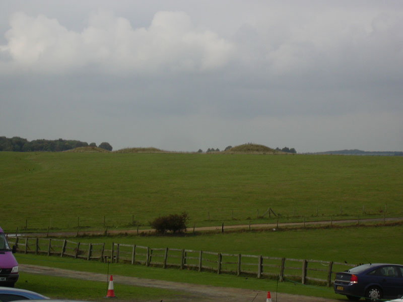 DSCN0388