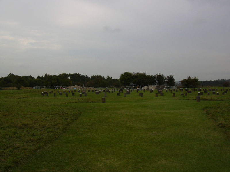 DSCN0394