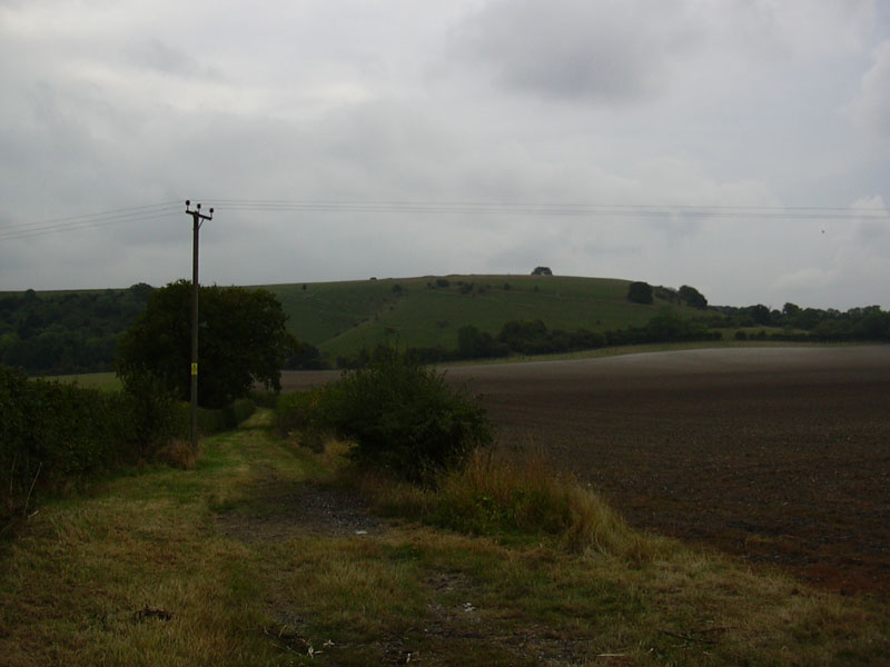 DSCN0397