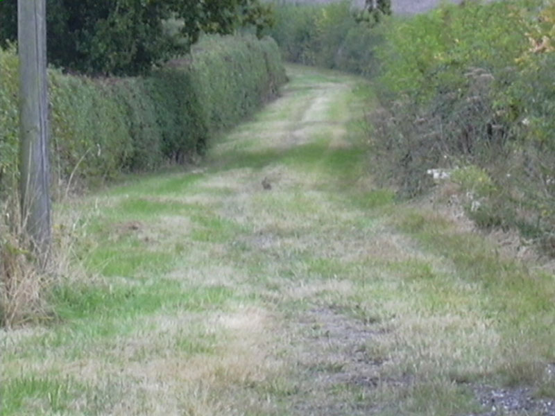 DSCN0398