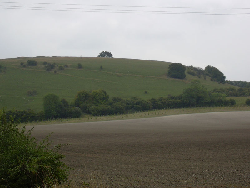 DSCN0399