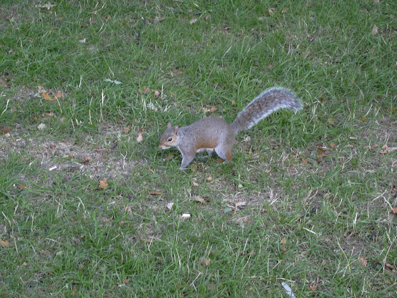 DSCN0405