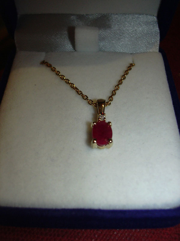 DSCN0409