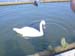 DSCN0307