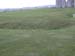 DSCN0379