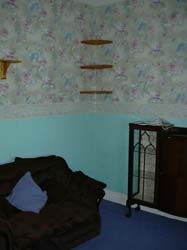 DSCN0031