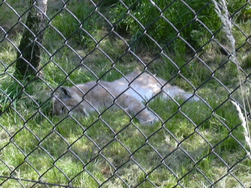 DSCN0192