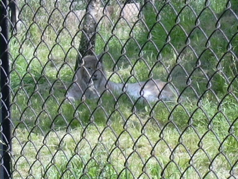 DSCN0195