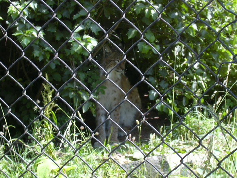 DSCN0198