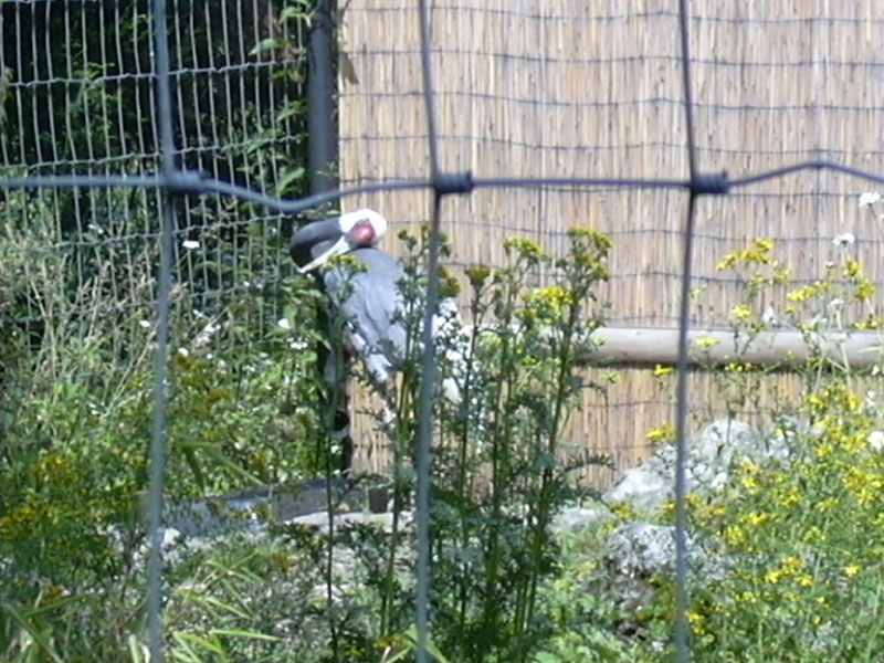DSCN0206