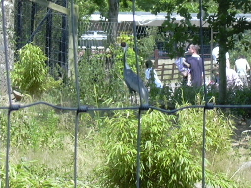 DSCN0207