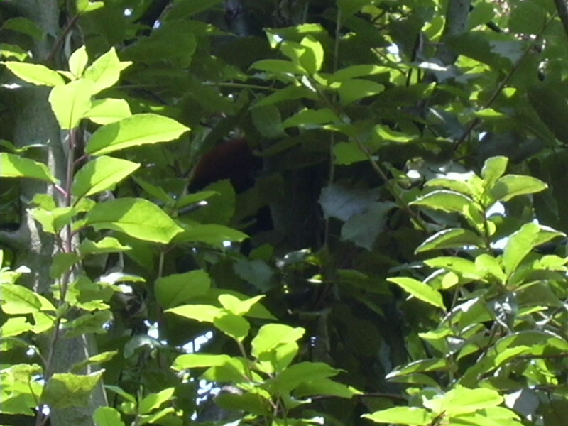 DSCN0208