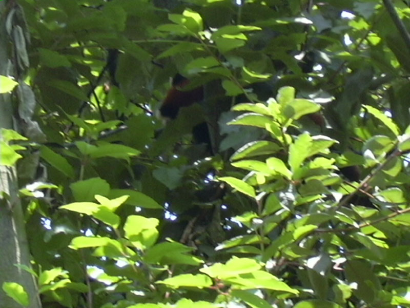 DSCN0209