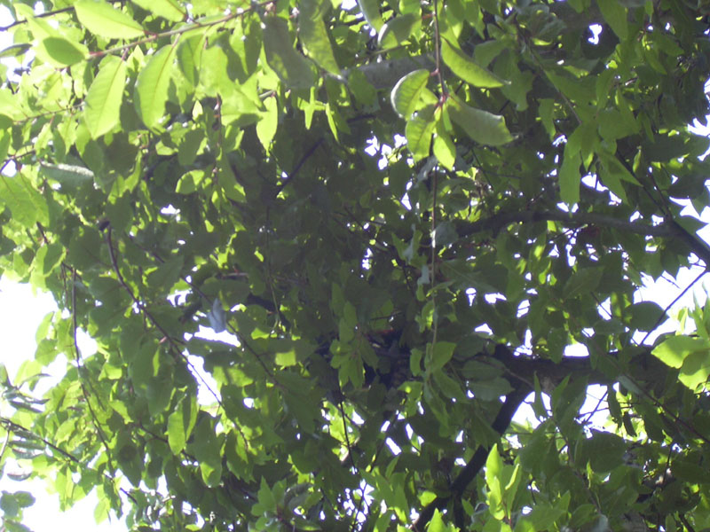 DSCN0210