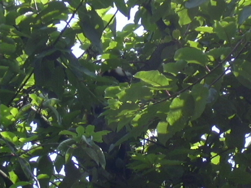 DSCN0211