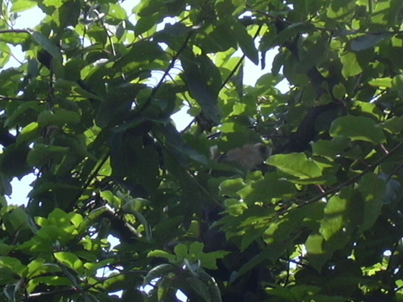DSCN0212