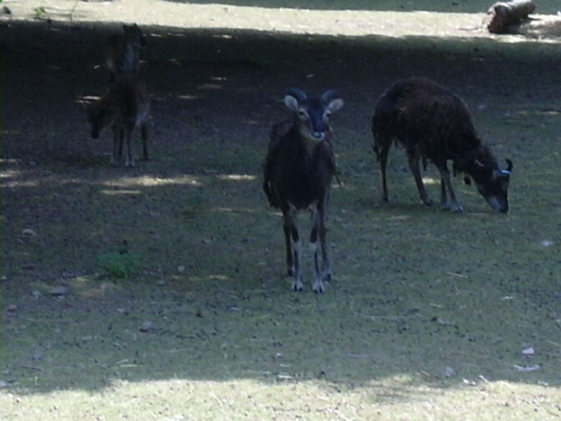 DSCN0234