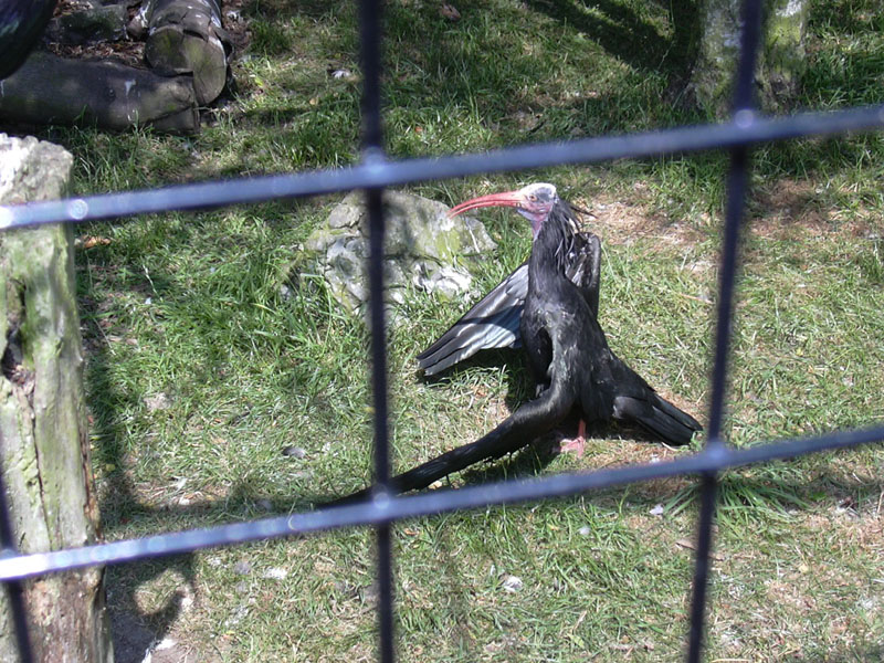 DSCN0235