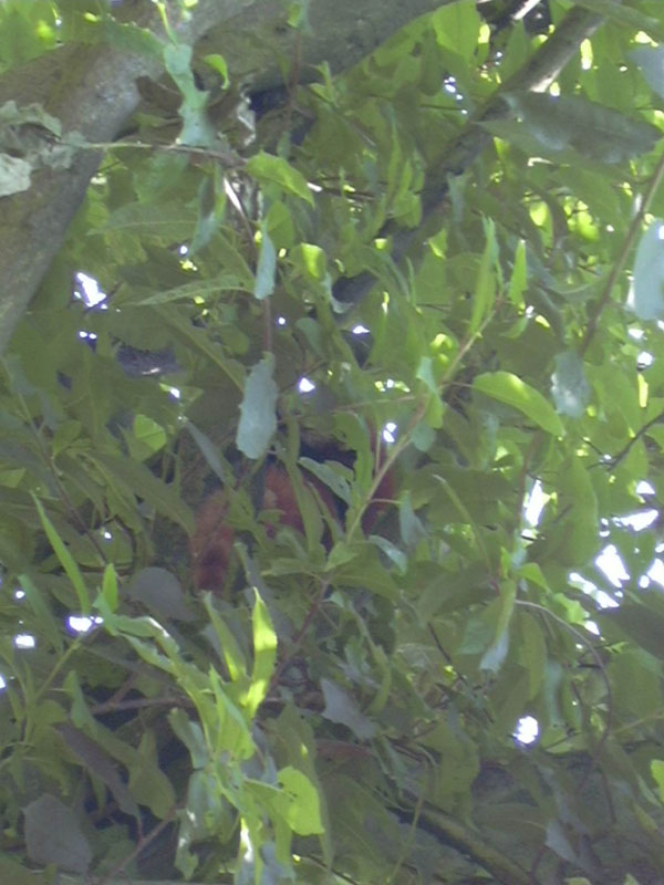 DSCN0240