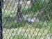 DSCN0195