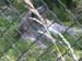 DSCN0196