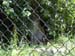 DSCN0198