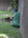 DSCN0205