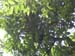 DSCN0210