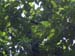 DSCN0211