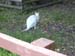 DSCN0226