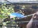 DSCN0236
