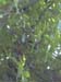 DSCN0240