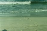 Footprints in the sand