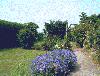 The
garden