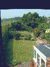 From my
window