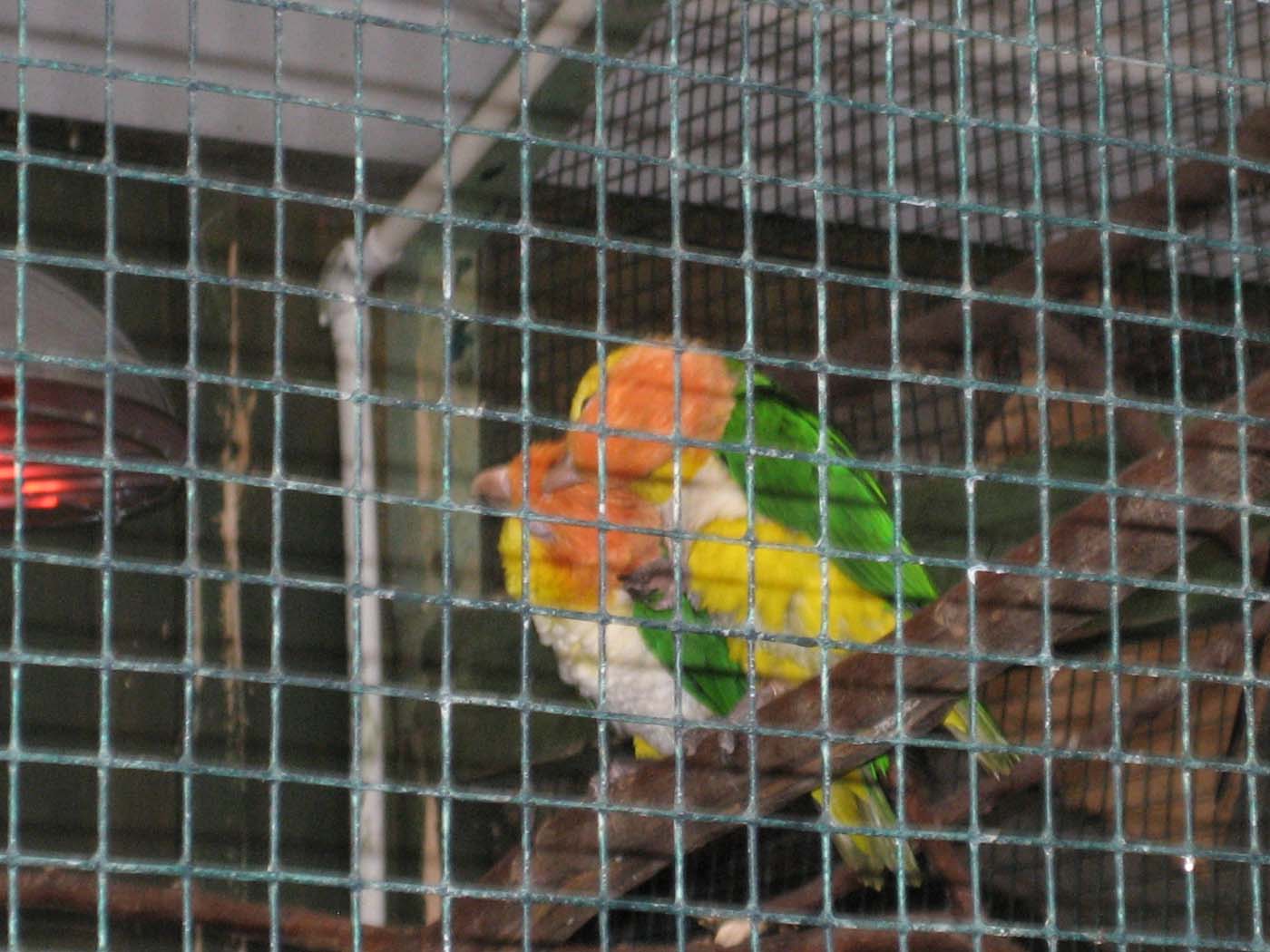 IMG_0556