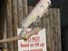 IMG_0572