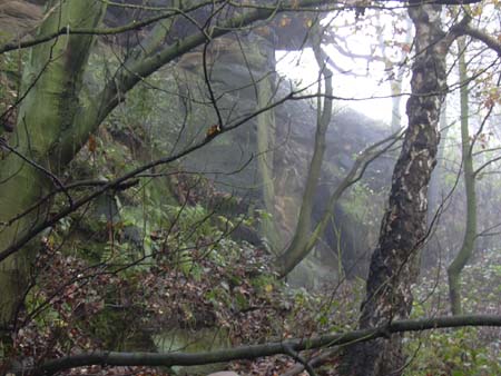 DSCN0348