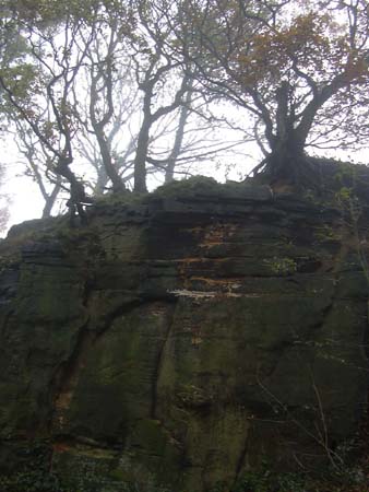DSCN0349