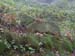 DSCN0346