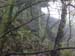 DSCN0348