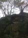 DSCN0349