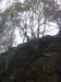 DSCN0350