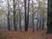 DSCN0351