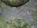 DSCN0352