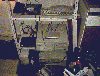 thumbnail of raccoons